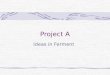 Project A Ideas in Ferment. Project A Founded in 1990 by Jim Teece and Dena Matthews Known for Site-in-a-Box Internet Solutions Clients include Asante,
