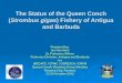 The Status of the Queen Conch (Strombus gigas) Fishery of Antigua and Barbuda Prepared by: Ian Horsford Sr. Fisheries Officer Fisheries Division, Antigua