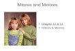 Mitosis and Meiosis Chapter 12 & 13 Mitosis & Meiosis