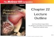 22-1 Chapter 22 Lecture Outline See PowerPoint Image Slides for all figures and tables pre-inserted into PowerPoint without notes. Copyright (c) The McGraw-Hill