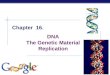 AP Biology 2005-2006 Chapter 16. DNA The Genetic Material Replication