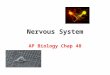 Nervous System AP Biology Chap 48. Neuron The basic structural unit of the nervous system