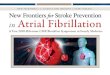 New Frontiers in Stroke Prevention for Atrial Fibrillation Focus on Evolving Strategies for Initial Assessment, Risk Stratification, Monitoring, and Pharmacologic