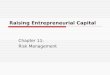 Raising Entrepreneurial Capital Chapter 11: Risk Management
