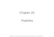 1 Chapter 20 Peptides Copyright © 2012, American Society for Neurochemistry. Published by Elsevier Inc. All rights reserved