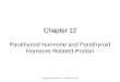 Chapter 12 Chapter 12 Parathyroid Hormone and Parathyroid Hormone-Related Protein Copyright © 2013 Elsevier Inc. All rights reserved