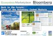 Back to the Future: State of the Voluntary Carbon Markets 2011 PREMIUM SPONSOR SPONSORS