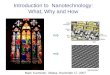 Introduction to Nanotechnology: What, Why and How Mark Tuominen, UMass, November 17, 2007 bnl manchester