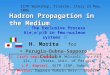 Hadron Propagation in the Medium ICTP Workshop, Trieste, Italy 23 May, 2006 The Exclusive Process A(e,ep)B in few-nucleon systems H. Morita for C. Ciofi