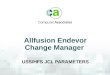 Allfusion Endevor Change Manager USS/HFS JCL PARAMETERS