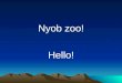 Nyob zoo! Hello! Hmong Language & Culture SEASSI 2009