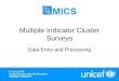 Multiple Indicator Cluster Surveys Data Entry and Processing