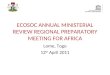 ECOSOC ANNUAL MINISTERIAL REVIEW REGIONAL PREPARATORY MEETING FOR AFRICA Lome, Togo 12 th April 2011