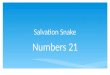 Salvation Snake Numbers 21. Author Moses Jesus in Numbers
