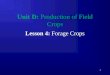 1 Unit D: Production of Field Crops Lesson 4: Forage Crops