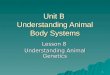 1 Unit B Understanding Animal Body Systems Lesson 8 Understanding Animal Genetics