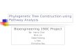 Phylogenetic Tree Construction using Pathway Analysis Bioengineering 190C Project By: Harry Choi Nick Lin Gabe Kwong Li Yan Christina Yau