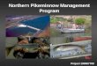Northern Pikeminnow Management Program Project 199907700
