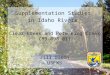Supplementation Studies in Idaho Rivers Clear Creek and Pete King Creek (89-098-01) Jill Olson USFWS