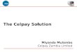 The Celpay Solution Miyanda Mulambo Celpay Zambia Limited