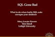 SQL Gone Bad What to do when faulty SQL code corrupts your database Mary Louise Powers Tom Smull Lehigh University