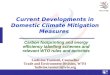 Current Developments in Domestic Climate Mitigation Measures Carbon footprinting and energy efficiency labelling schemes and relevant WTO rules and activities