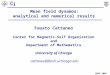 CMSO 2005 cattaneo@flash.uchicago.edu Mean field dynamos: analytical and numerical results Fausto Cattaneo Center for Magnetic-Self Organization and Department