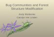 Bug Communities and Forest Structure Modification Andy Moldenke Carolyn Ver Linden