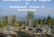 Whitebark Pine in Region 6 Background, Status, & Restoration Andy Bower Area Geneticist – western Washington Olympic NF Regional Silviculture Meeting Bend,
