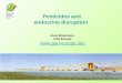 Pesticides and endocrine disruption Hans Muilerman, PAN Europe  
