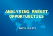 Analysing Market Opportunities (1)