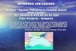 INTERREG IIIB CADSES Project Spatial Planning in Coastal Zones (Plan Coast) BG 2004/016-919.05.01.01.020 Pilot Projects - Bulgaria INTERREG IIIB CADSES