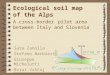 Ecological soil map of the Alps A cross-border pilot area between Italy and Slovenia Sara Zanolla Stefano Barbieri Giuseppe Michelutti Borut Vrščaj