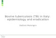 Bovine tuberculosis (TB) in Italy: epidemiology and eradication Stefano Marangon