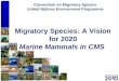 1 Conserving animals on the move for over 25 years Convention on Migratory Species United Nations Environment Programme Migratory Species: A Vision for