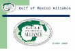 Gulf of Mexico Alliance PIANC 2009. BACKGROUND Pew and Ocean Commissions recommended in 03 and 04 that ocean management should be REGIONAL Birthed in
