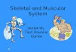 Skeletal and Muscular System Jeopardy Test Review Game