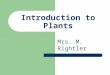 Introduction to Plants Mrs. M. Rightler. Earliest Plants Algae Phytoplankton Lived in the sea