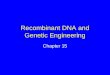 Recombinant DNA and Genetic Engineering Chapter 15