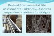 Revised Environmental Site Assessment Guidelines & Asbestos Inspection Guidelines for Bridges