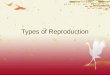 Types of Reproduction. Types of Reproduction Asexual Asexual reproduction occurs when a new organism is produced from one parent. The genetic material