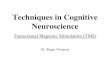 Techniques in Cognitive Neuroscience Transcranial Magnetic Stimulation (TMS) Dr. Roger Newport