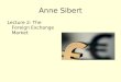 Anne Sibert Lecture 2: The Foreign Exchange Market