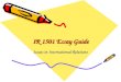 IR 1501 Essay Guide Issues in International Relations