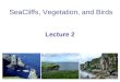 SeaCliffs, Vegetation, and Birds Lecture 2. SeaCliffs, Vegetation, and Birds Hard rock cliffs Resistant bedrock (geology) Also, Soft rock cliffs Unconsolidated