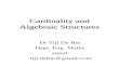 Cardinality and Algebraic Structures Dr Tijl De Bie Dept. Eng. Maths. email: tijl.debie@gmail.com