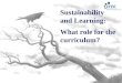 Sustainability and Learning: What role for the curriculum?