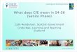 What does CfE mean in S4-S6 (Senior Phase) Cath Henderson, Scottish Government Linda Rae, Learning and Teaching Scotland