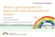 What is good progress for pupils with special educational needs? Philippa Stobbs SEN Professional Adviser Department for Children, Schools and Families