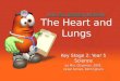 Unit 5a: Keeping Healthy Unit 5a: Keeping Healthy Unit 5a: Keeping Healthy Unit 5a: Keeping Healthy The Heart and Lungs Unit 5a: Keeping Healthy Unit